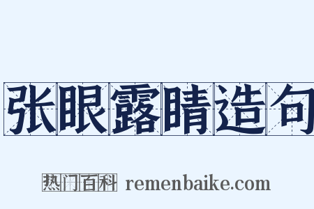 张眼露睛造句是什么意思的图片